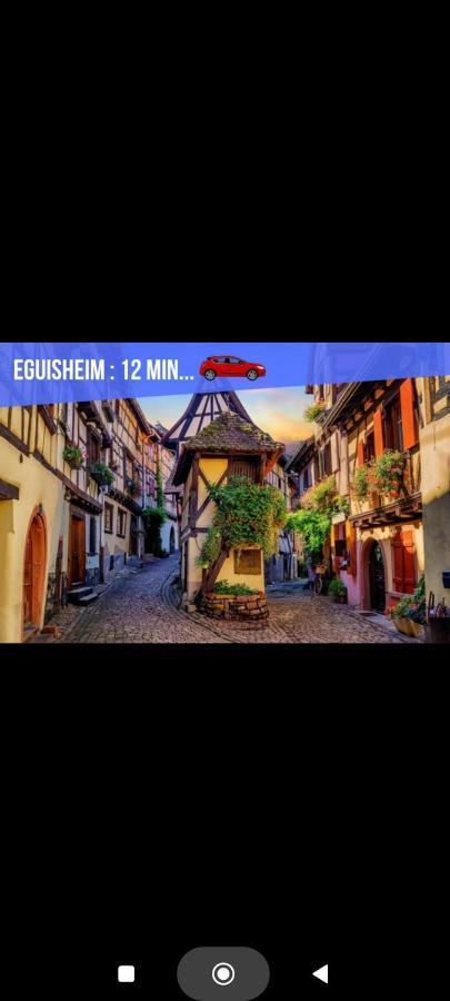Refuge Ladhof Odysalis I Chic-Moderne-Proche Du Centre-Ville 3 Pieces 2 Chambres Colmar Exterior foto