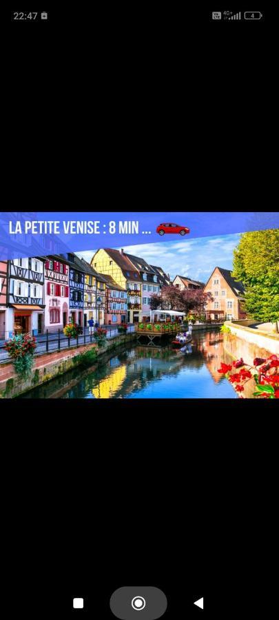 Refuge Ladhof Odysalis I Chic-Moderne-Proche Du Centre-Ville 3 Pieces 2 Chambres Colmar Exterior foto