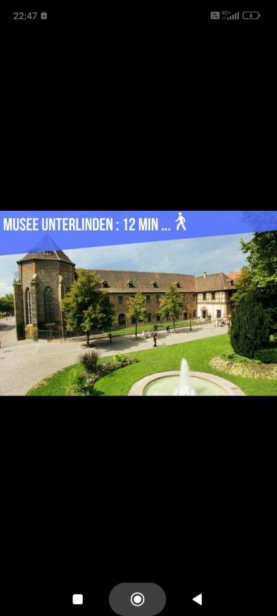 Refuge Ladhof Odysalis I Chic-Moderne-Proche Du Centre-Ville 3 Pieces 2 Chambres Colmar Exterior foto